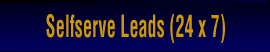 Selfserve Leads (24 x 7)